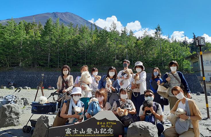 愛犬と絶景富士山/イメージ