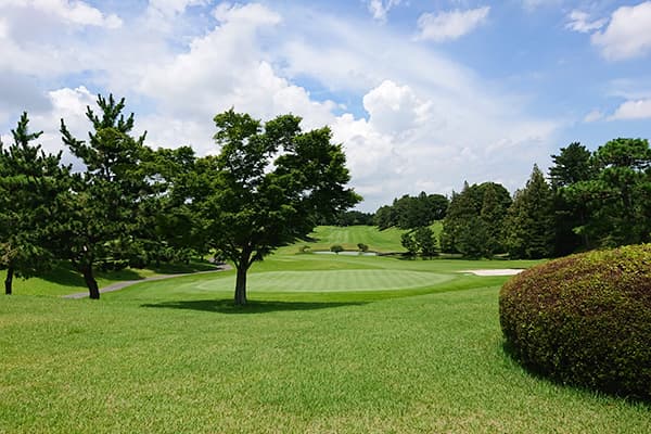 全日空ビジネスクラス利用 ラグジュアリーホテルに滞在 オーストラリアゴルフ5日間 ＝シドニー＝