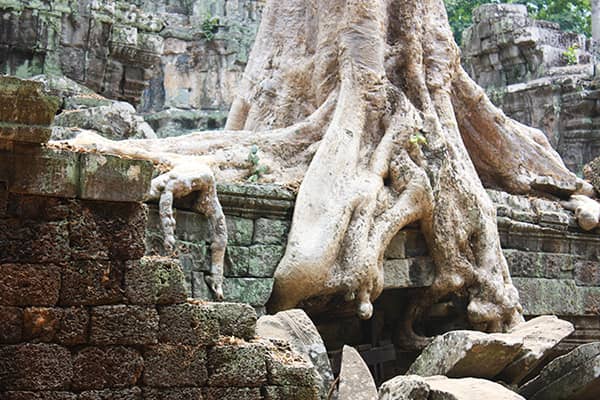 イメージ：タ・プローム2