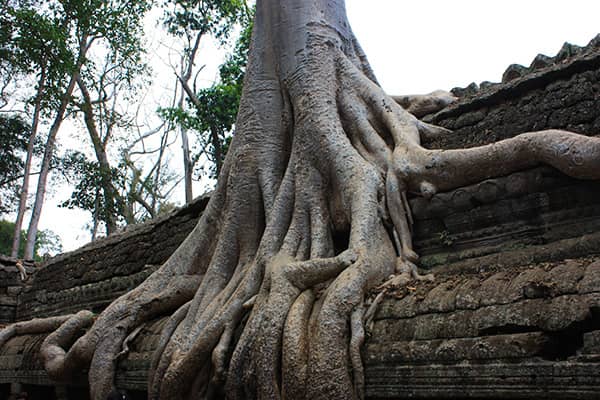 イメージ：タ・プローム3