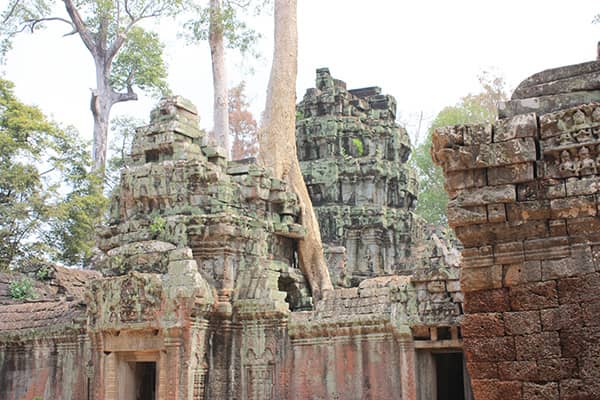 イメージ：タ・プローム4