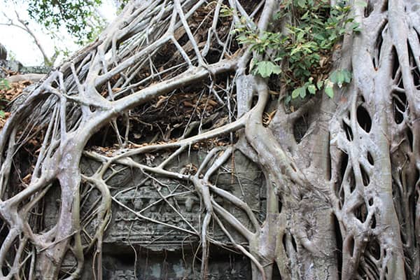 イメージ：タ・プローム5