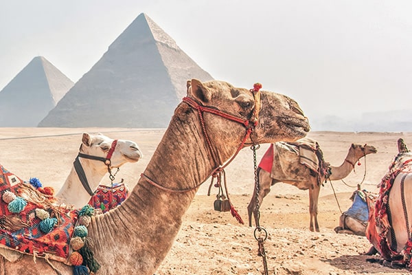 イメージ:ギザの3大ピラミッド3