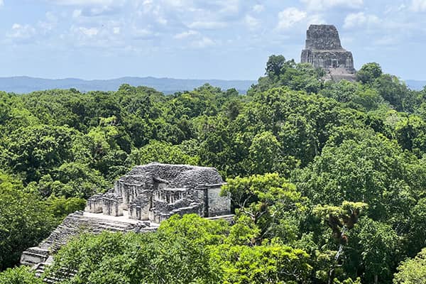 イメージ：ティカル遺跡（グアテマラ共和国）3
