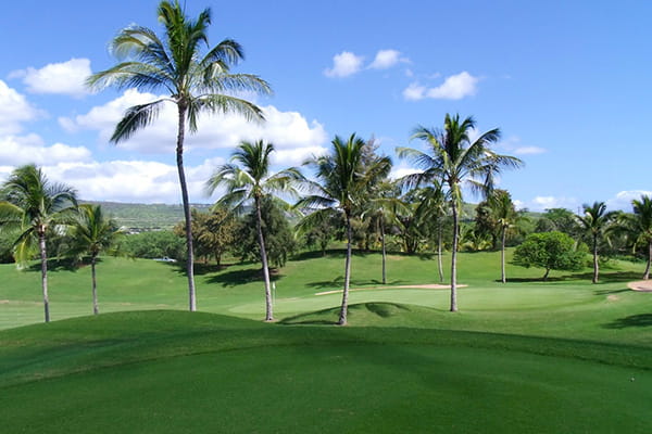 全日空ファーストクラス利用 プリンスワイキキ オーシャンビュースイートルーム滞在 ハワイでエンジョイゴルフ5日間 ＝オアフ島＝