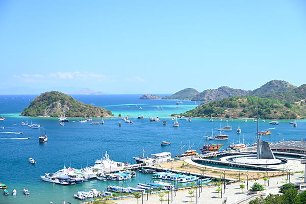 イメージ：コモド国立公園4