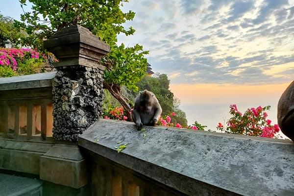 イメージ：ウルワツ寺院3