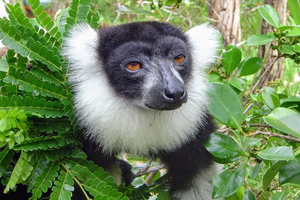 イメージ：ペリネ特別保護区5