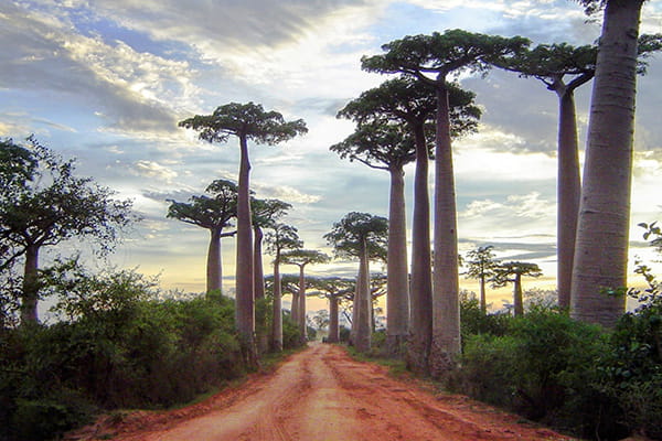 イメージ：モロンダバ4