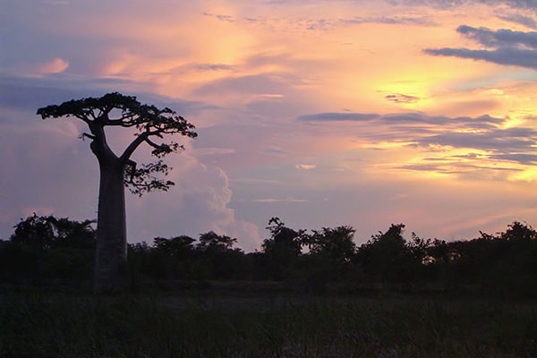 イメージ：モロンダバ5