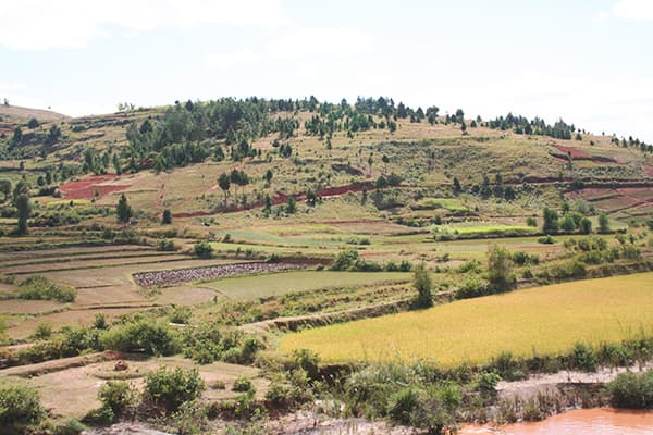 イメージ：アンタナナリボ4