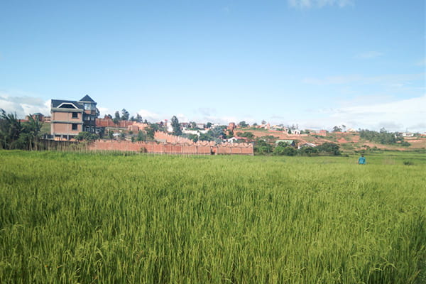 イメージ：アンタナナリボ5