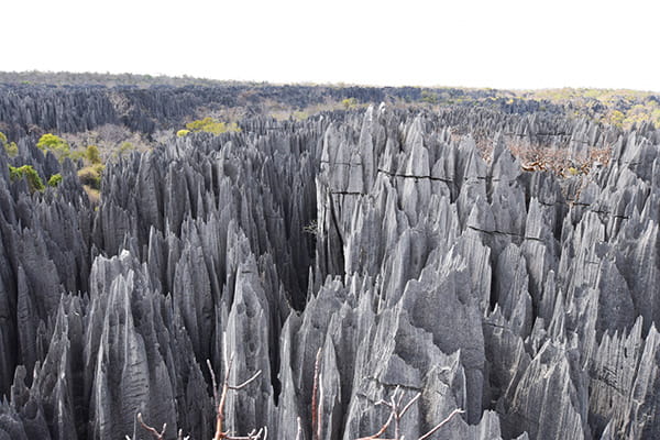 イメージ：ツィンギ・デ・ベマラ厳正自然保護区