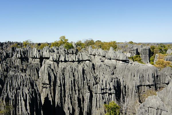 イメージ：ツィンギ・デ・ベマラ厳正自然保護区2