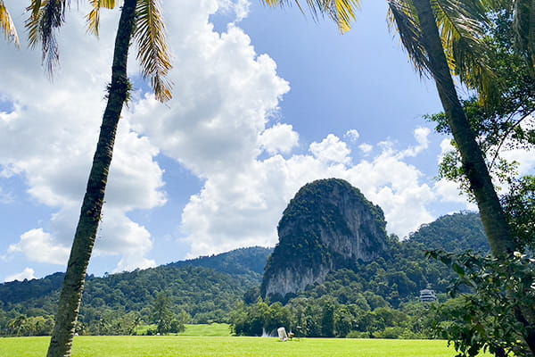 マレーシア航空ビジネスクラス利用 デラックスホテルに滞在 マレーシアゴルフツアー5日間 ＝クアラルンプール＝