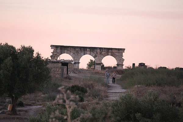 イメージ：ヴォルビリスの古代遺跡4