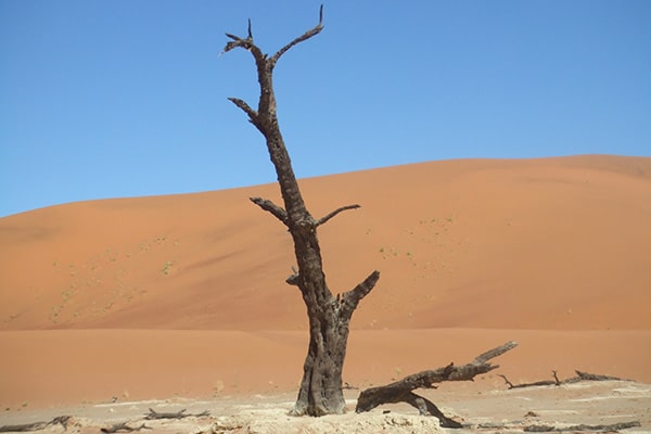 イメージ:ナミブ砂漠4