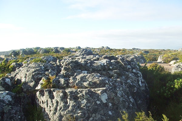 イメージ:テーブル・マウンテン2