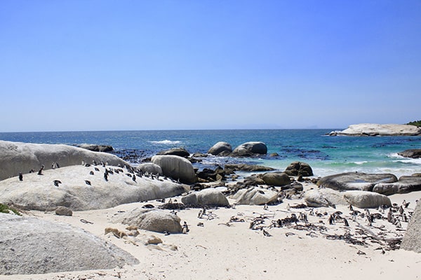 イメージ:ボルダーズビーチ2