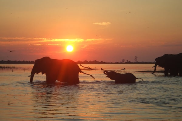イメージ:チョベ国立公園6