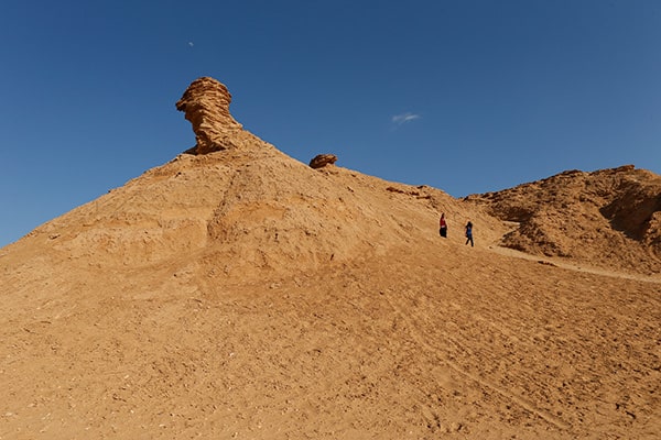 イメージ：トズール6