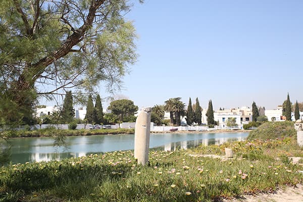 イメージ：カルタゴ遺跡6