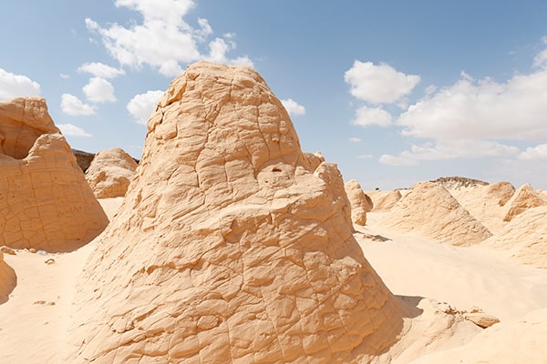 イメージ：ドゥーズ4