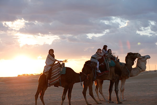 イメージ：ドゥーズ5