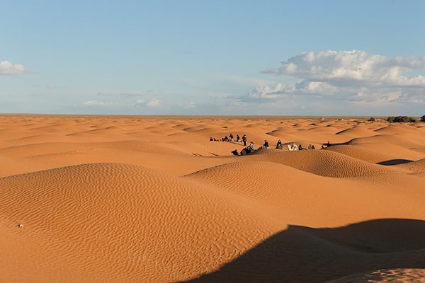 イメージ：クサールギレン