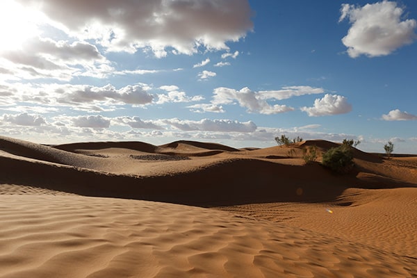 イメージ：クサールギレン