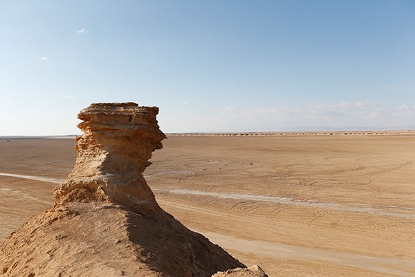 イメージ：トズール