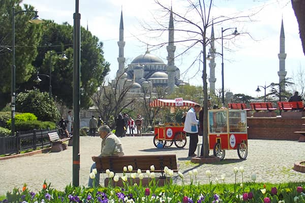 イメージ：ブルーモスク3