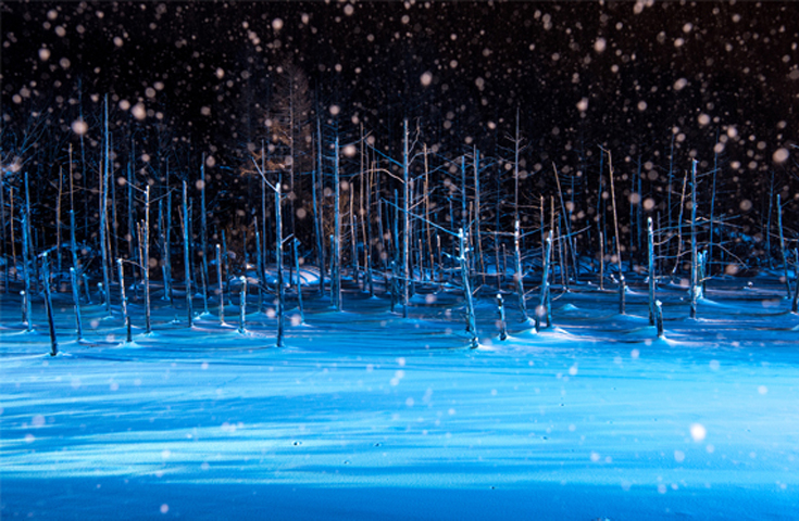 北海道の冬ならではの絶景！ライトアップした青い池は幻想的
