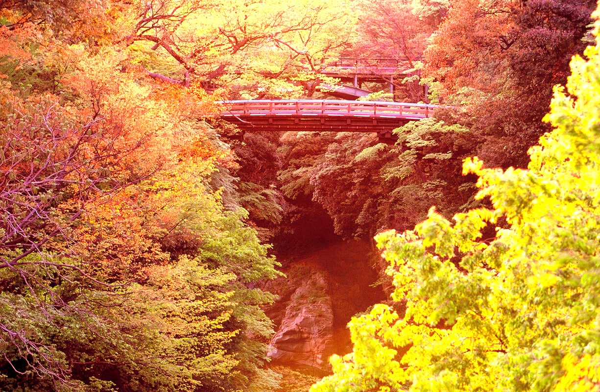 見ごろを迎える日本三大奇橋 猿橋 の絶景紅葉と豪華なフレンチバイキング ぶどう狩り食べ放題 老舗酒造での酒蔵見学や飲み比べ試飲もご堪能