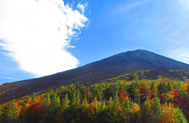 秋彩の富士山五合目を散策