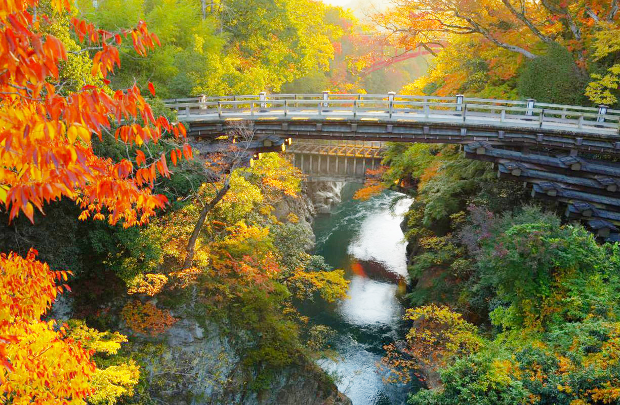 北千住 東京発 山梨の紅葉と空中からの絶景富士 W鑑賞 ホテルパティシエ特製のスイーツバイキング食べ放題バスツアー