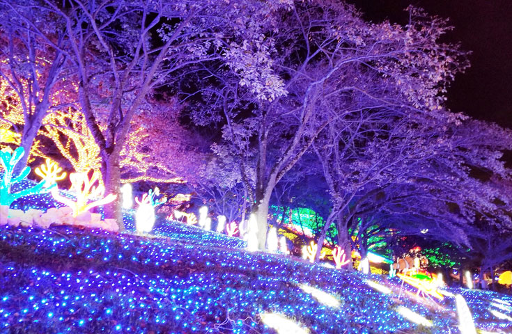 Gotoトラベル対象プラン 横浜発 人気の 桔梗信玄餅詰め放題 体験と さがみ湖イルミリオン 鑑賞 ハイジの村 庭園散策やハーバリウム作り体験 ランチバイキング等満喫の日帰りバスツアー Gotoトラベル対象プラン 横浜発 人気の 桔梗信玄餅詰め放題 体験と さがみ湖イルミリオン 鑑賞 ハイジの村 庭園散策やハーバリウム作り体験 ランチバイキング等満喫の日帰りバスツアー