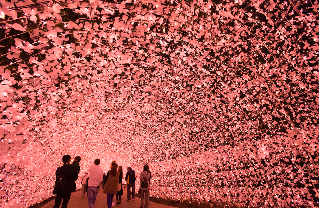 梅の花をイメージされた光のトンネル「梅」