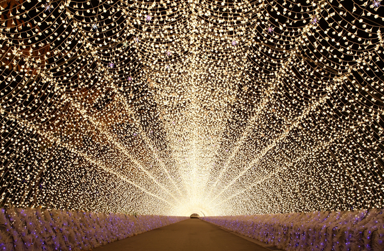 200mの光のトンネル「華回廊」
