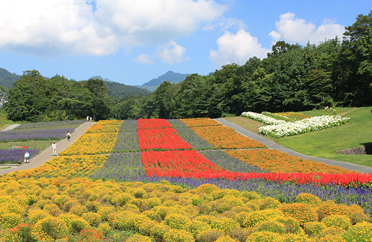愛犬同伴プラン 心癒されるラベンダーの香り たんばらラベンダー パーク 片道リフト付 とブルーベリー狩り体験 充実の道の駅 川場田園プラザ にも立寄る日帰りvipわんツアー