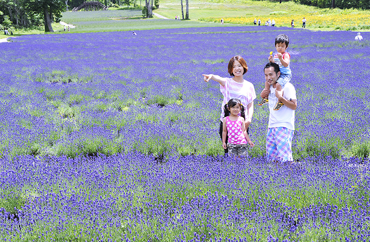愛犬同伴プラン 心癒されるラベンダーの香り たんばらラベンダー パーク 片道リフト付 とブルーベリー狩り体験 充実の道の駅 川場田園プラザ にも立寄る日帰りvipわんツアー