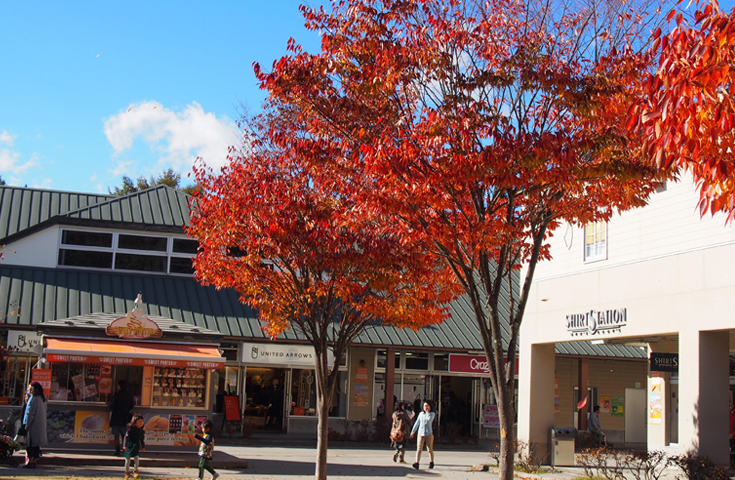 紅葉に染まる 八ヶ岳のアウトレット でお買い物 ぶどう狩り食べ放題 大好評の 桔梗信玄餅詰め放題 体験とハイジの村庭園散策 甲州郷土料理 チーズフォンデュ等のランチバイキングの日帰りバスツアー