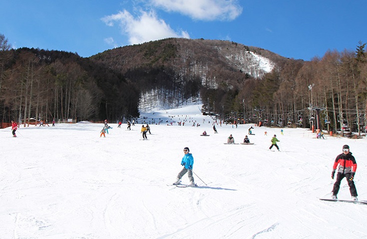 GoToトラベル対象プラン＞【ご自宅発着】〜ハイヤーでのプライベートな