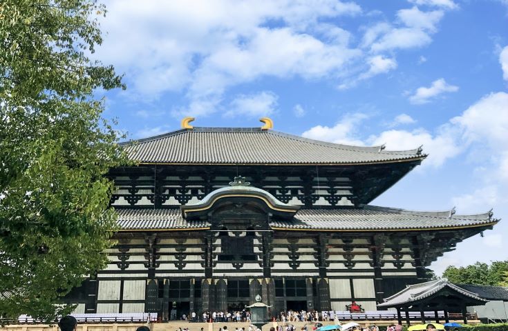 大阪発 金閣寺 嵐山 奈良公園 京都 奈良の観光名所を1日で楽しもう 京野菜と牛肉のしゃぶしゃぶに舌鼓