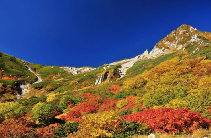 名古屋発 千畳敷カール 雲上の別世界 圧巻の紅葉コントラストに歓声