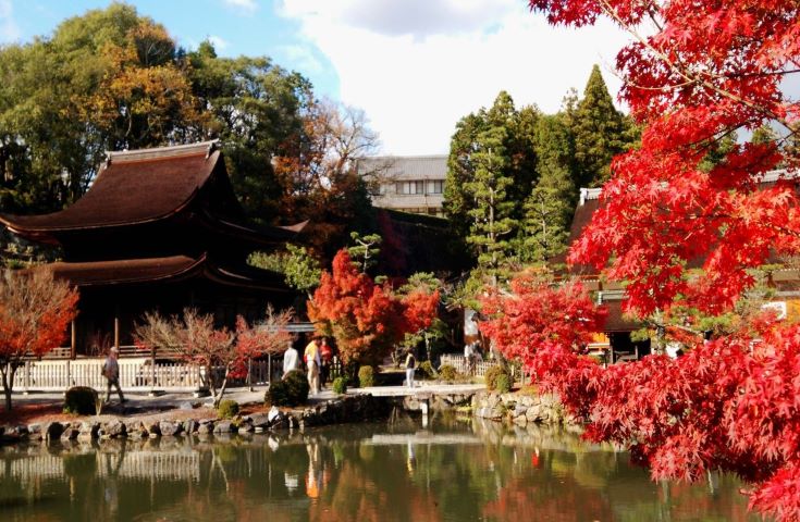 Gotoトラベル対象プラン 恵那峡の山の幸 川の幸を楽しめる季節郷土料理の昼食 日本百景にも選ばれた景勝地 恵那峡 壮大な渓谷美と色づいた紅葉 観賞の日帰りバスツアー