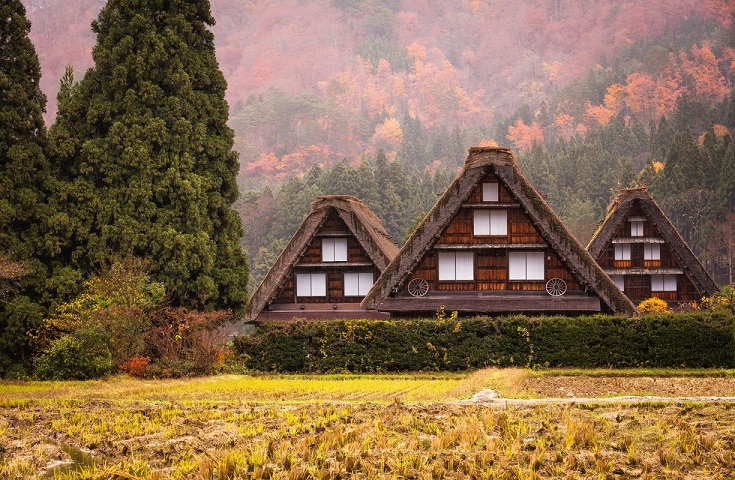 Gotoトラベル対象プラン 小京都奥美濃 郡上八幡 昔ながらの町並み 世界遺産 白川郷 日帰りツアー 昼食は岐阜名物飛騨牛御膳