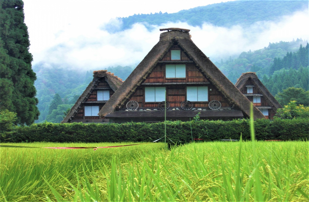 名古屋発 世界遺産合掌造りの集落が並ぶ 白川郷 へ行こう 高山の古い町並みの自由散策と食べ歩きでお楽しみ 喜ばれる 旅がらす のお土産付き日帰りバス ツアー