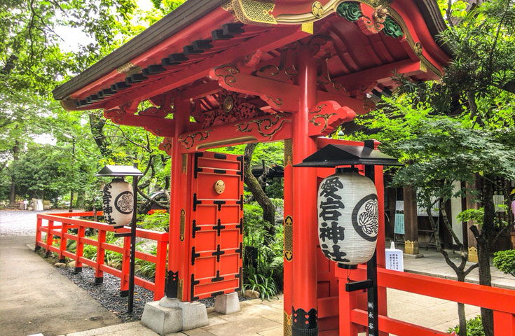 女性の方はこちらから 1回のみ参加プラン 恋活バスツアー オープントップバスで恋活バスのショートトリップ