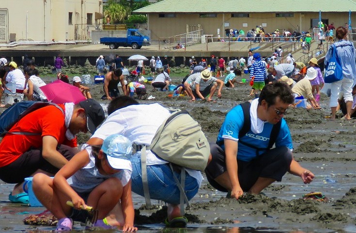 オープントップバスで行く!木更津「潮干狩り」と「海ほたる」へ行くシンプルプラン!<潮干狩りは2㎏お持ち帰り付>